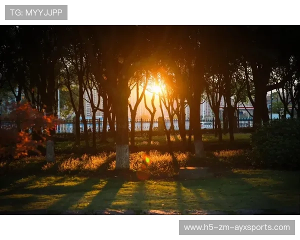 赛场上的“光影魔术”——用镜头捕捉瞬间的奇迹景象，光影魔术什么意思